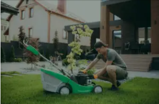 DIY With Expert Help