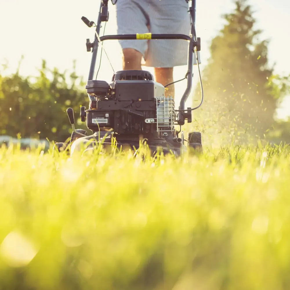 Lawn Mower maintenance